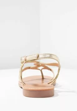 Anna Field Zehentrenner - Gold -Anna Field Geschäft bc1b04fc876743a4b8a3cd50c2b14d5c